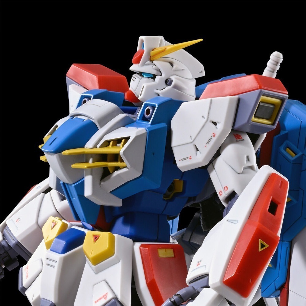 PB MG 1/100 GUNDAM F90 N-TYPE-細節圖2