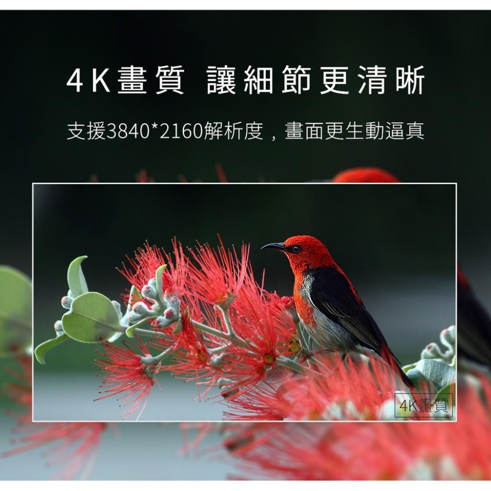 PERFEKT DP轉HDMI 4K60Hz 影音轉接線 1M DH-4K2100-細節圖6