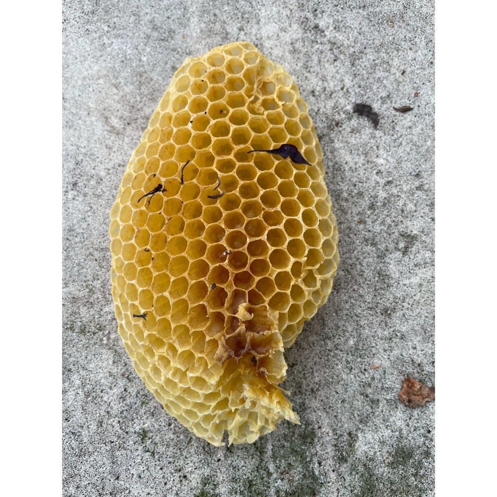 純正龍眼蜜-細節圖2