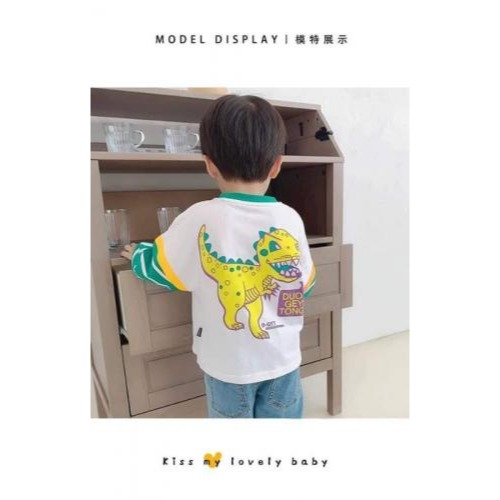 手邊現貨出清-恐龍拼接條紋-細節圖2