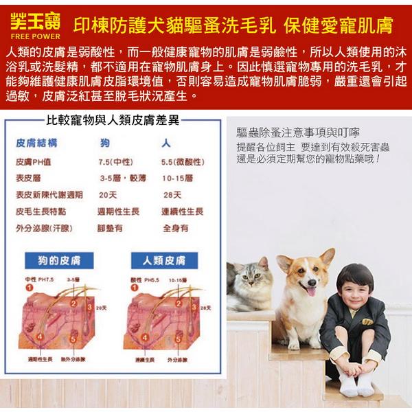 芙玉寶印楝防護犬貓驅蚤洗毛乳1000ml 寵物沐浴乳 天然非藥性除蚤 Anti Flea Shampoo台灣-細節圖2