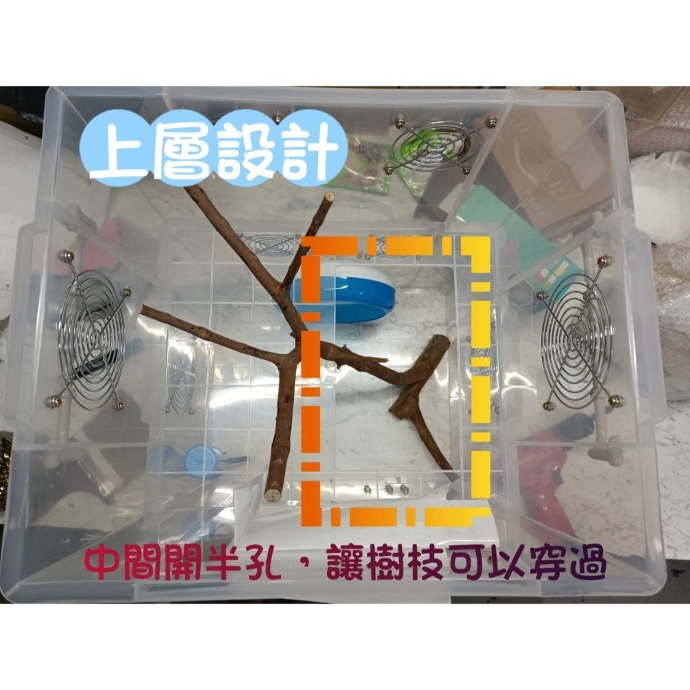 ★九鼠一家DIY工坊★ 睡鼠標準款 K016*2 改造箱 整理箱 適用睡鼠 姆指松鼠 標準款-細節圖2
