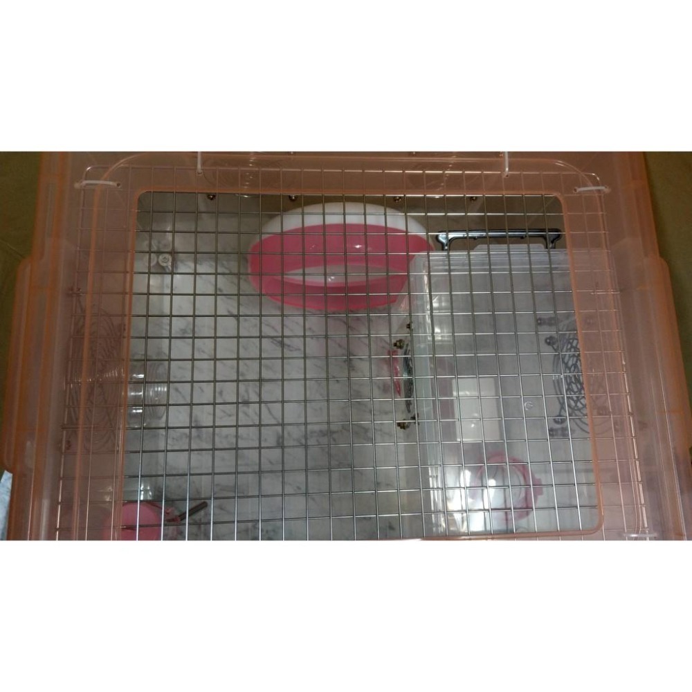 ★九鼠一家DIY工坊★ 客製 K016 改造箱 整理箱 適用小型鼠種 不適用黃金（熊鼠）-細節圖4