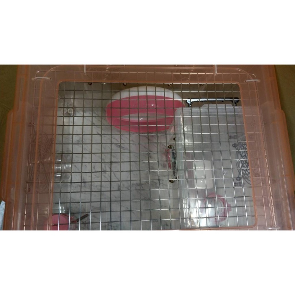 ★九鼠一家DIY工坊★ 客製 K016 改造箱 整理箱 適用小型鼠種 不適用黃金（熊鼠）-細節圖4