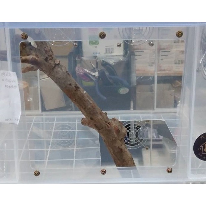 ★九鼠一家DIY工坊★ 客製 K016 改造箱 整理箱 適用小型鼠種 不適用黃金（熊鼠）-規格圖8