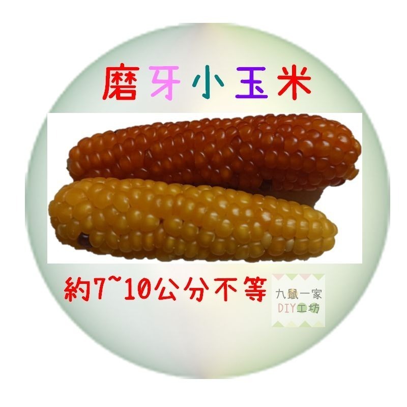 ★九鼠一家DIY工坊★  小動物磨牙小玉米 真空包裝-細節圖2