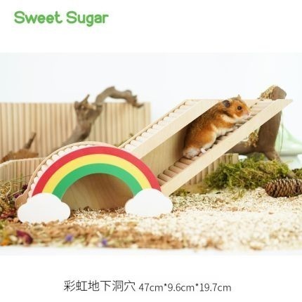 ★九鼠一家DIY工坊★  蘇維蘇格 地下洞穴系列 造景百搭 倉鼠躲避通道 倉鼠造景 躲避屋-細節圖15