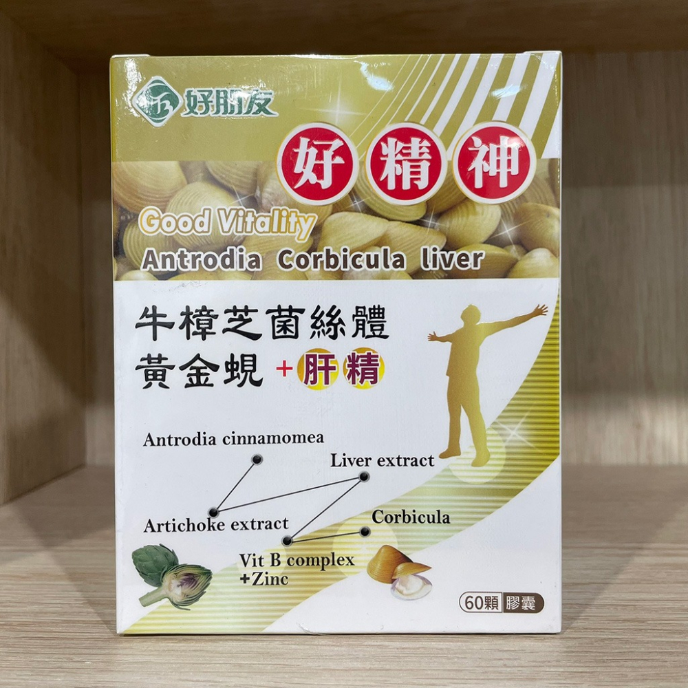 【滿額免運】好朋友 好精神 牛樟芝菌絲體 黃金蜆+肝精 60顆【新宜安中西藥局】-細節圖3