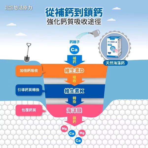 【滿額免運】悠活原力 原力海藻鈣鎂錠 60入/盒 素食可食 維生素D 維生素K【新宜安中西藥局】-細節圖6