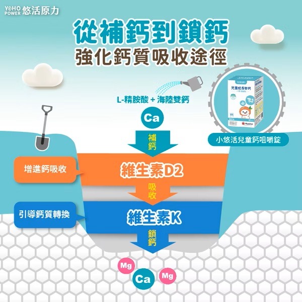 【滿額免運】悠活原力 小悠活鈣咀嚼錠 45入/盒 海藻鈣 牛奶鈣 維生素D 維生素K【新宜安中西藥局】-細節圖6