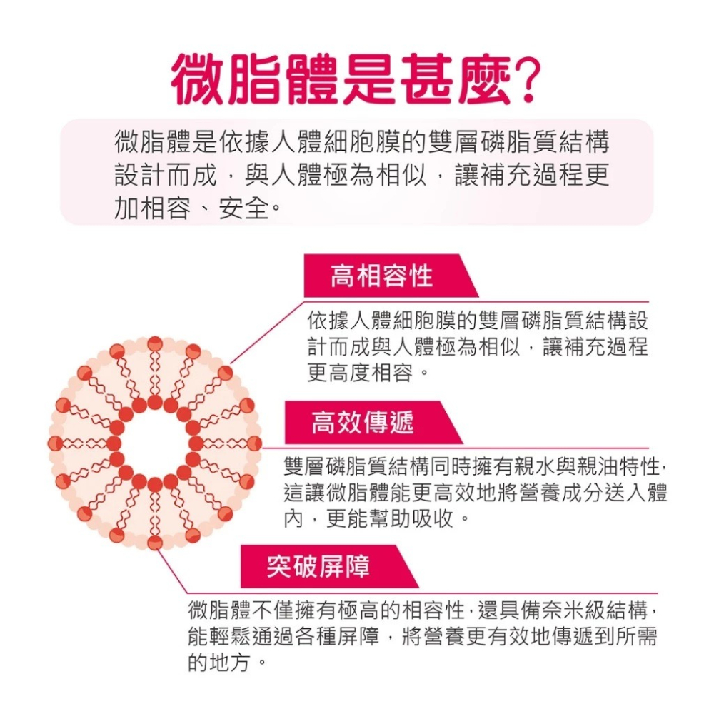 【滿額免運】華莘 Liportal 鐵 微脂體鐵+維生素 30包/盒 女性鐵 女性維生素【新宜安中西藥局】-細節圖3
