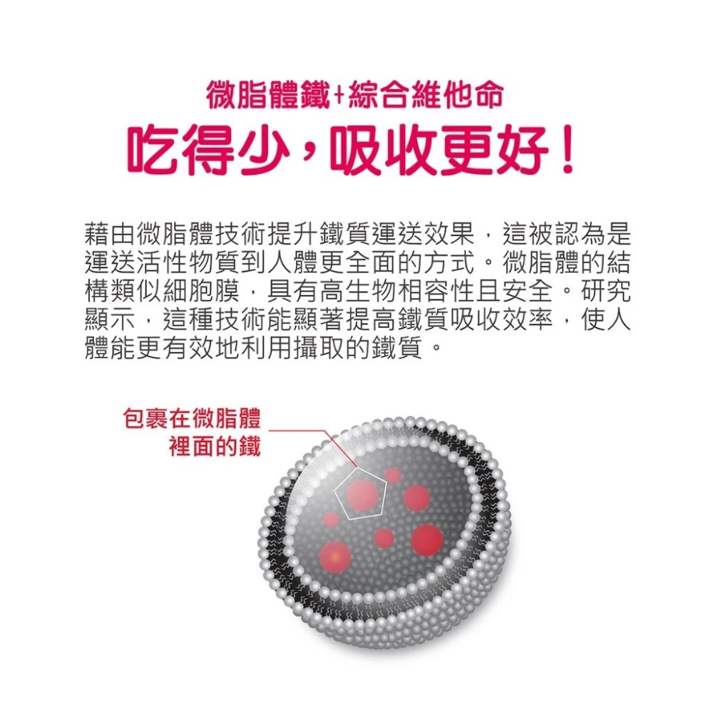 【滿額免運】華莘 Liportal 鐵 微脂體鐵+維生素 30包/盒 女性鐵 女性維生素【新宜安中西藥局】-細節圖5
