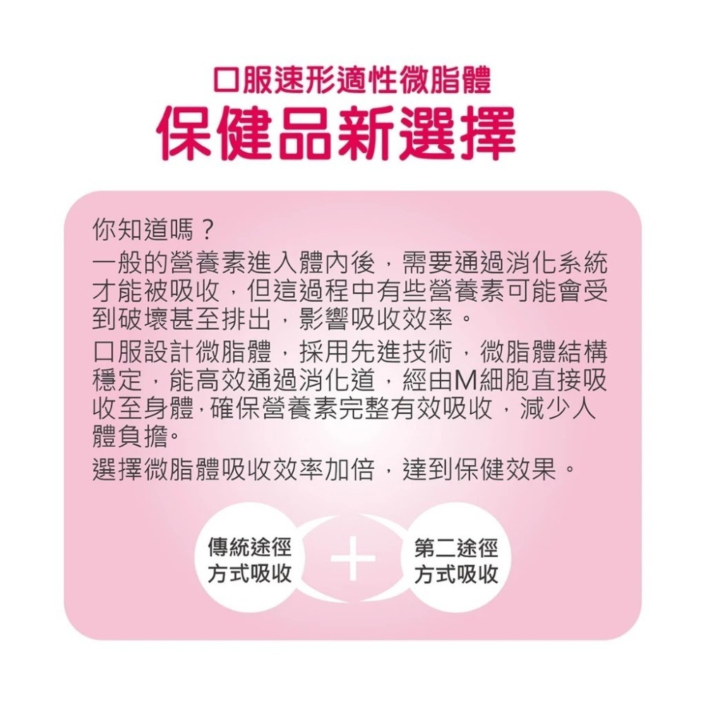 【滿額免運】華莘 Liportal 鐵 微脂體鐵+維生素 30包/盒 女性鐵 女性維生素【新宜安中西藥局】-細節圖4