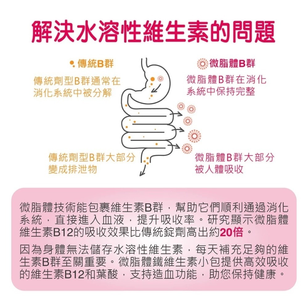 【滿額免運】華莘 Liportal 鐵 微脂體鐵+維生素 30包/盒 女性鐵 女性維生素【新宜安中西藥局】-細節圖7