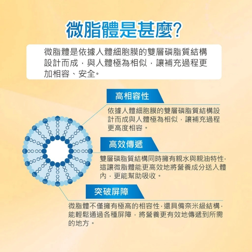 【滿額免運】華莘 Liportal 微脂體維他命D膠囊 60顆/瓶 維生素D3 vitamin D3【新宜安中西藥局】-細節圖6