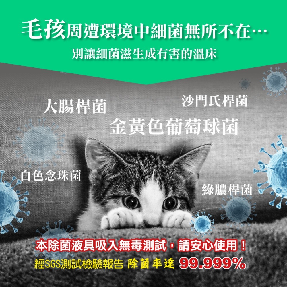 【滿額免運】次綠康 寵物專用除菌液 60ml x 2入組 環境除味液 除菌 除臭【新宜安中西藥局】-細節圖5