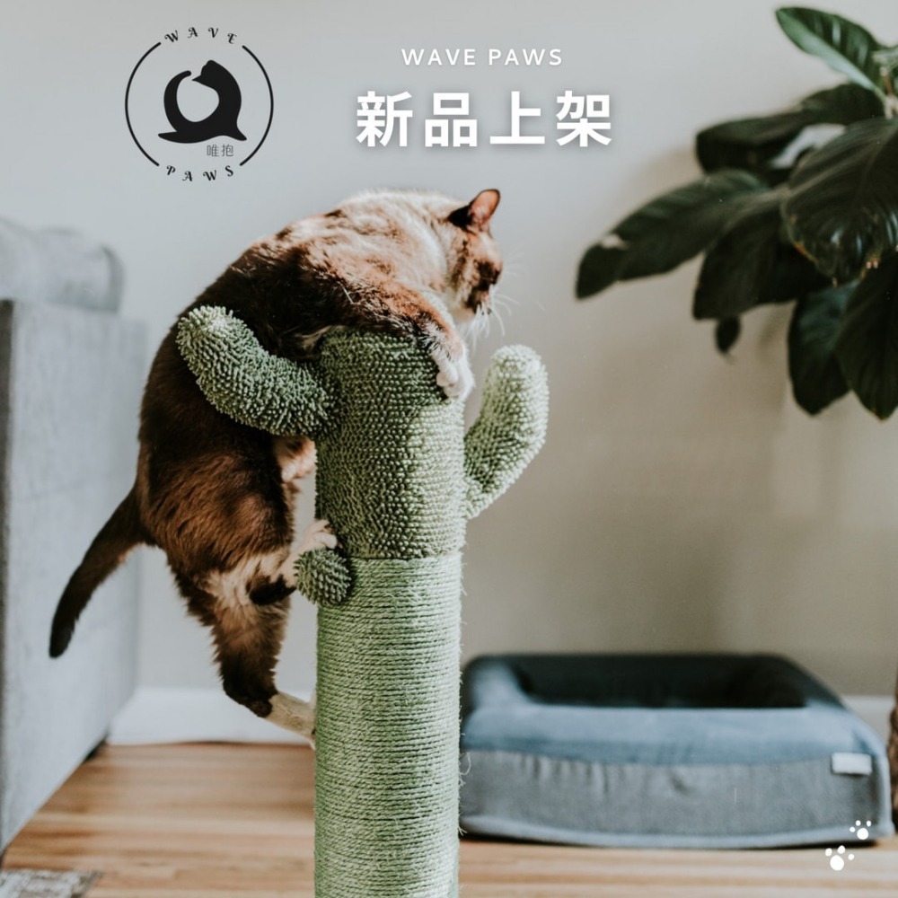 【唯抱 WAVE PAWS】豆腐貓砂 SGS安全認證 2.5公斤 經典綠茶2入組-細節圖4