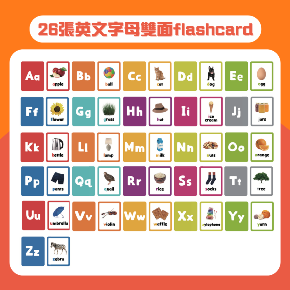 Curios®️英文字母ABC配對卡-細節圖7