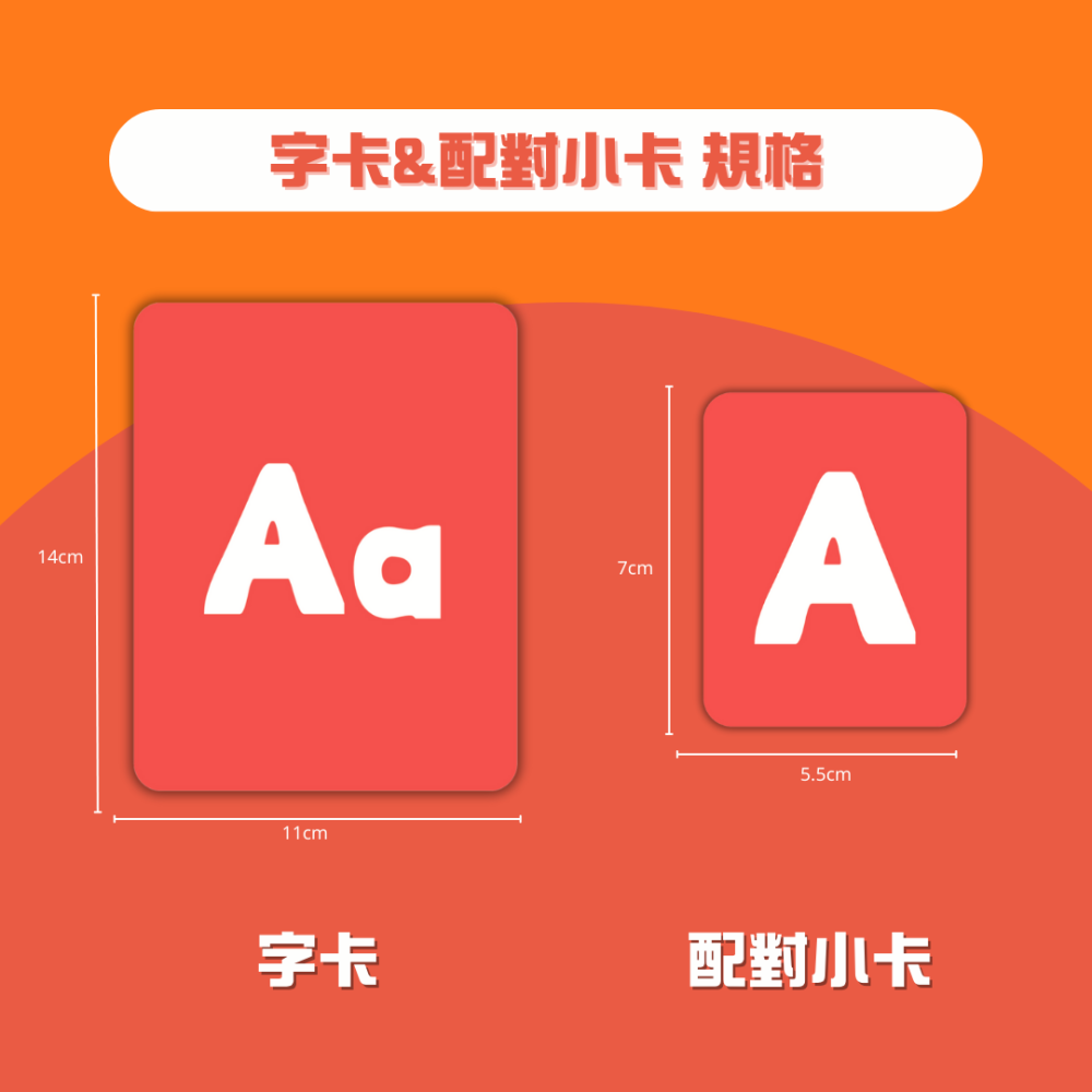 Curios®️英文字母ABC配對卡-細節圖9