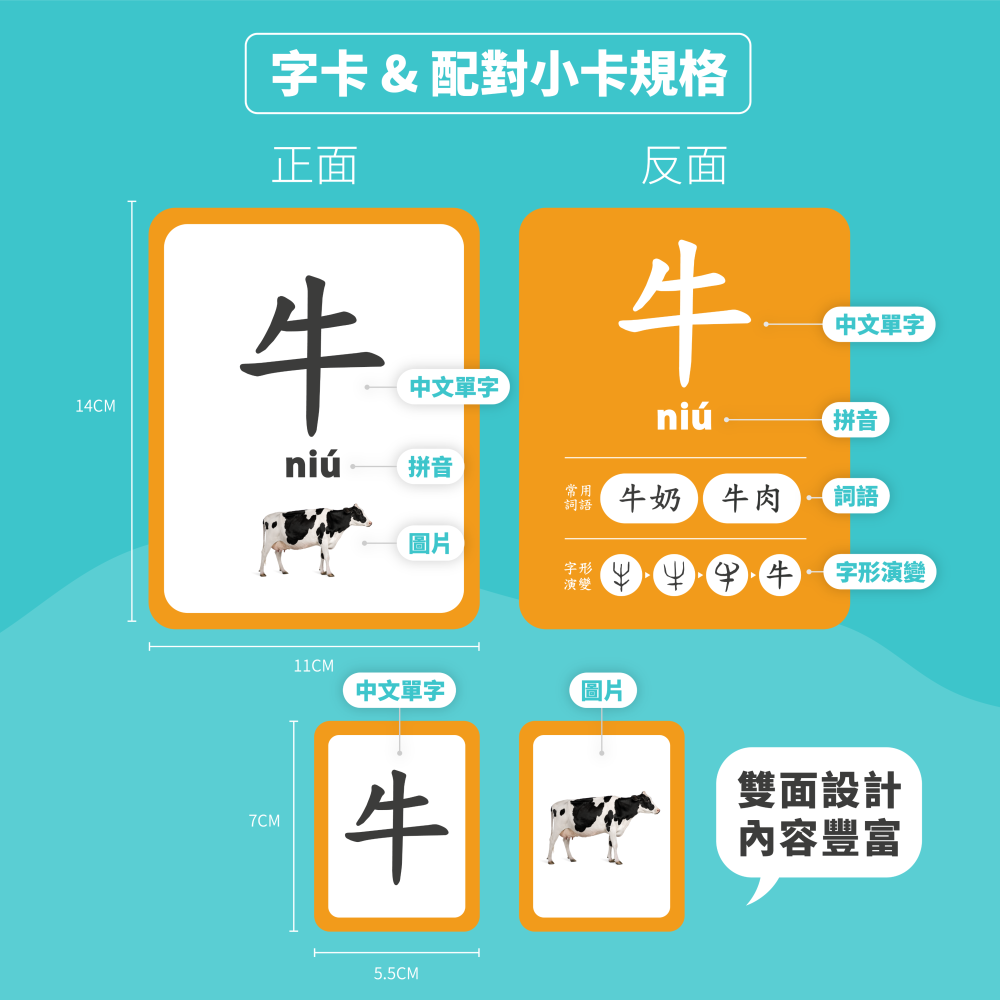 Curios®️ 中文識字卡-細節圖9