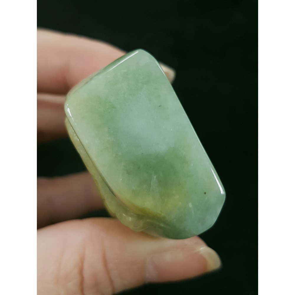 天然緬甸玉A貨翡翠巧雕 蜥蜴 今非昔比 蜥望無窮 吸金百億 變色龍 擺件-細節圖4