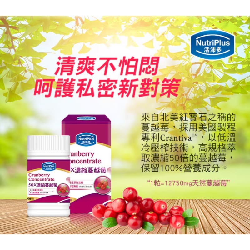 NutriPlus 活沛多 50X濃縮蔓越莓膠囊 90粒-細節圖2