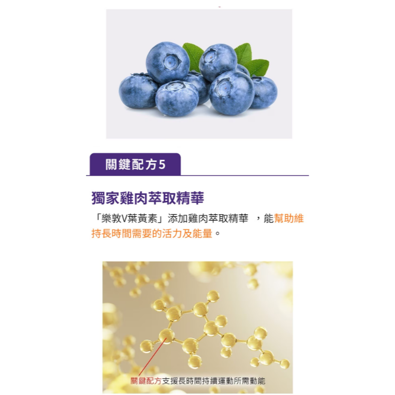 特價 120粒 日本 樂敦 V 金盞花葉黃素複方軟膠囊 60粒X2入 Rohto V Marigold Lutein-細節圖9
