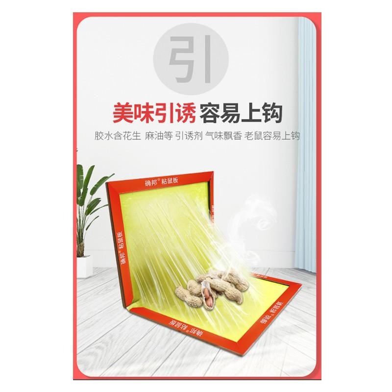 【歐帕瑪】✨滅鼠 黏鼠板 老鼠板 捕鼠器 捕老鼠 老鼠板 老鼠夾 老鼠籠 捕鼠器 滅鼠器 抓老鼠 老鼠貼 捕鼠神器✨-細節圖4