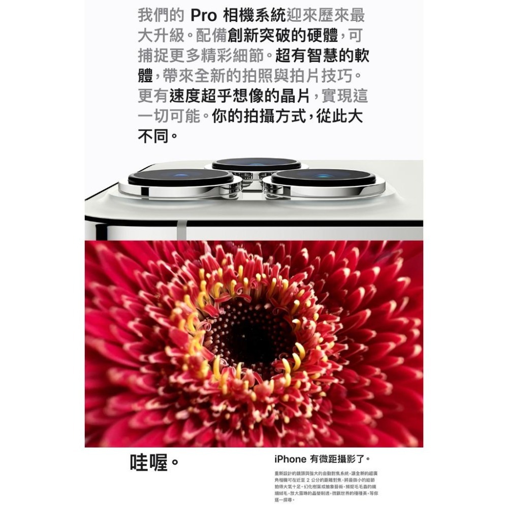 APPLE iPhone 13 Pro 256G 福利品 福利機-細節圖4