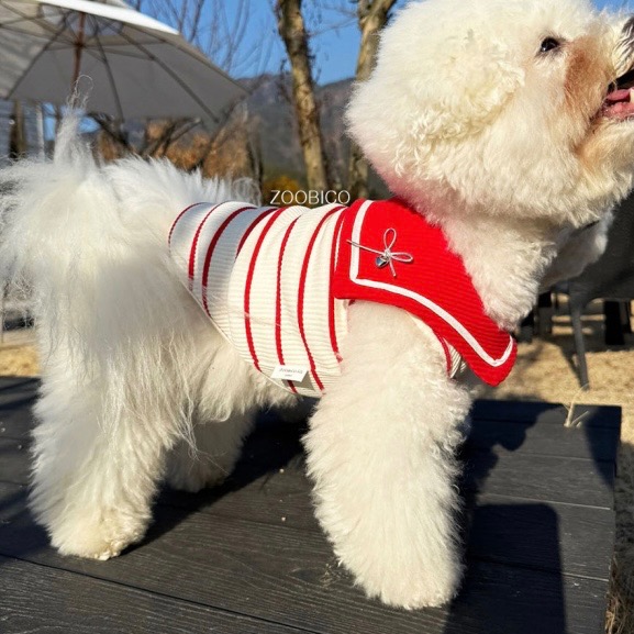 ⚓️海軍紅色彈性背心-規格圖3