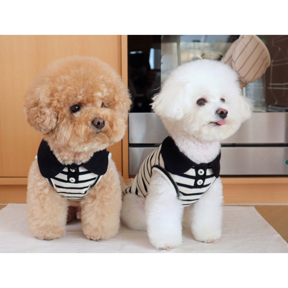 🇰🇷DR經典黑白條紋背心-細節圖3