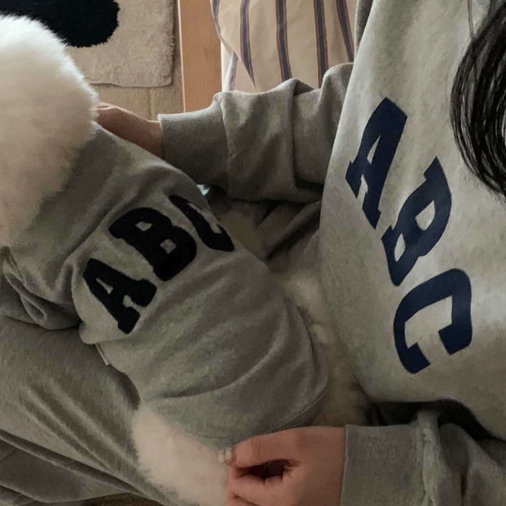 ABC刺繡灰色薄款衛衣-細節圖4