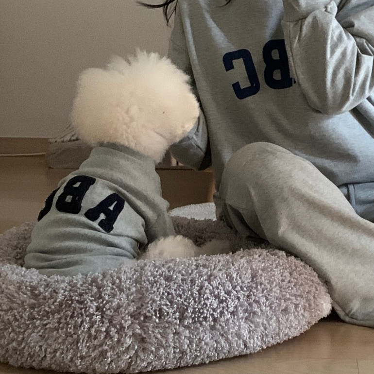 ABC刺繡灰色薄款衛衣-細節圖5