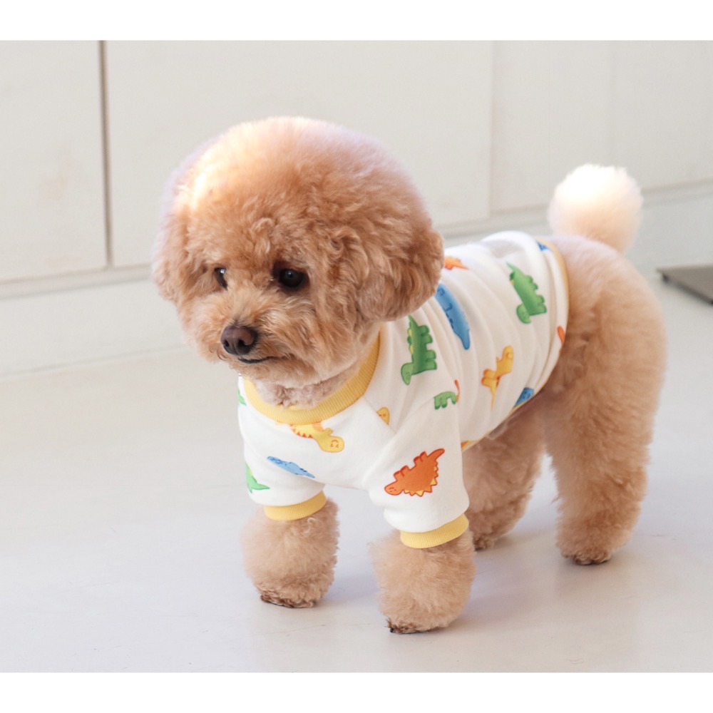 🇰🇷DR恐龍系列上衣-細節圖4