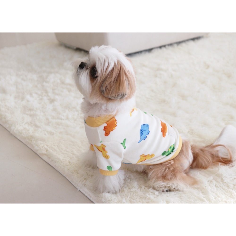 🇰🇷DR恐龍系列上衣-細節圖5