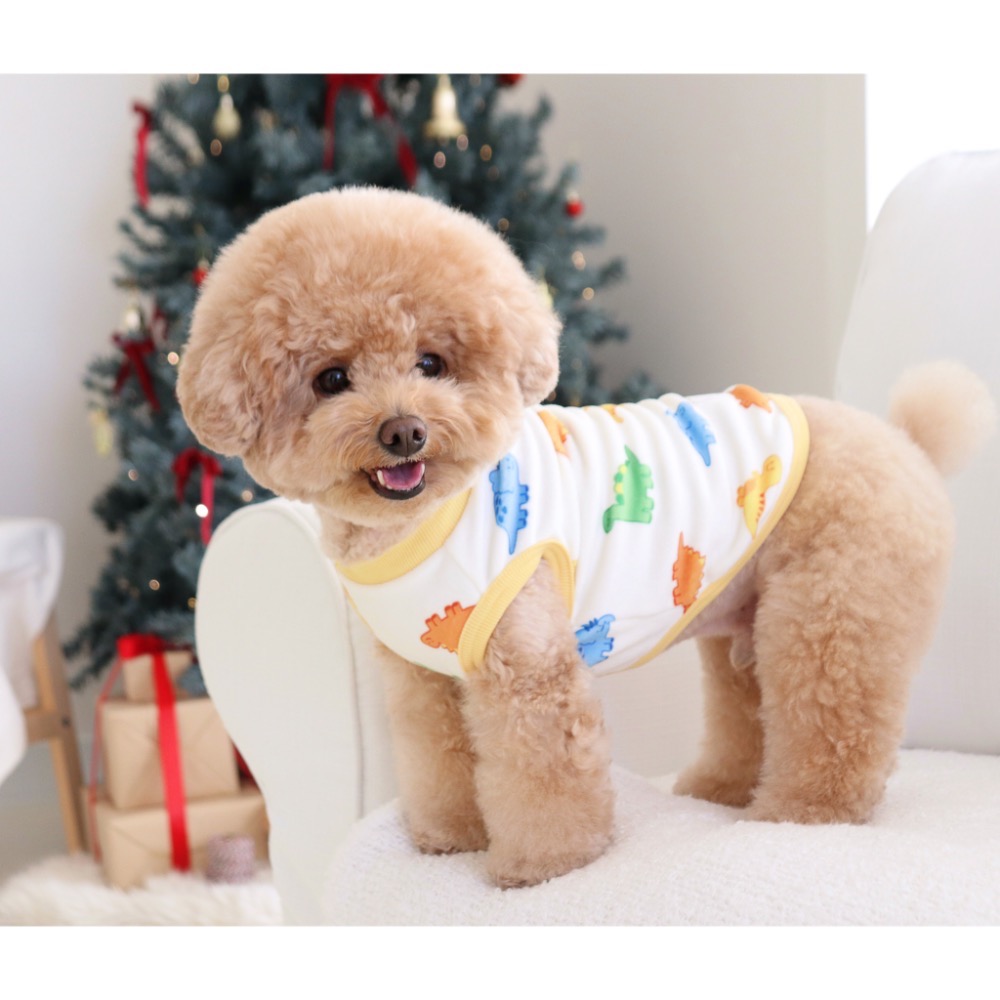 🇰🇷DR恐龍系列上衣-細節圖6