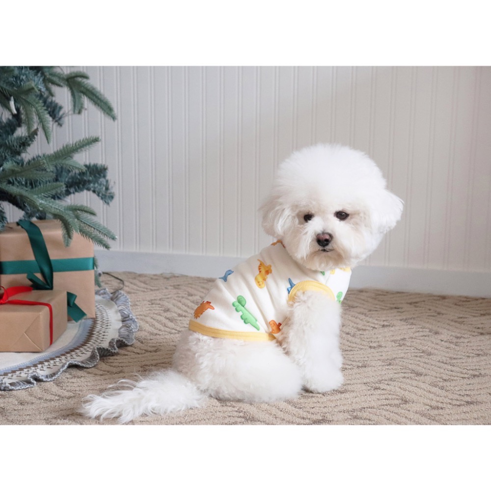 🇰🇷DR恐龍系列上衣-細節圖7