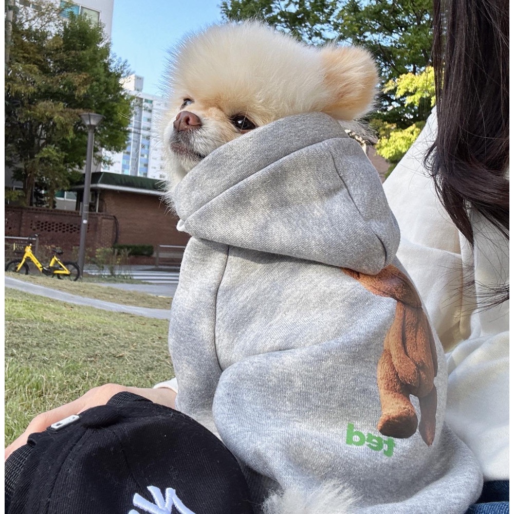 Ted熊連帽外套-灰色-細節圖3