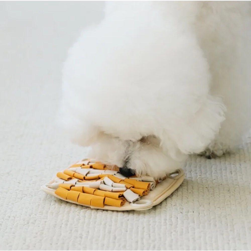 BITEME翻轉松鼠｜藏食益智玩具-細節圖4