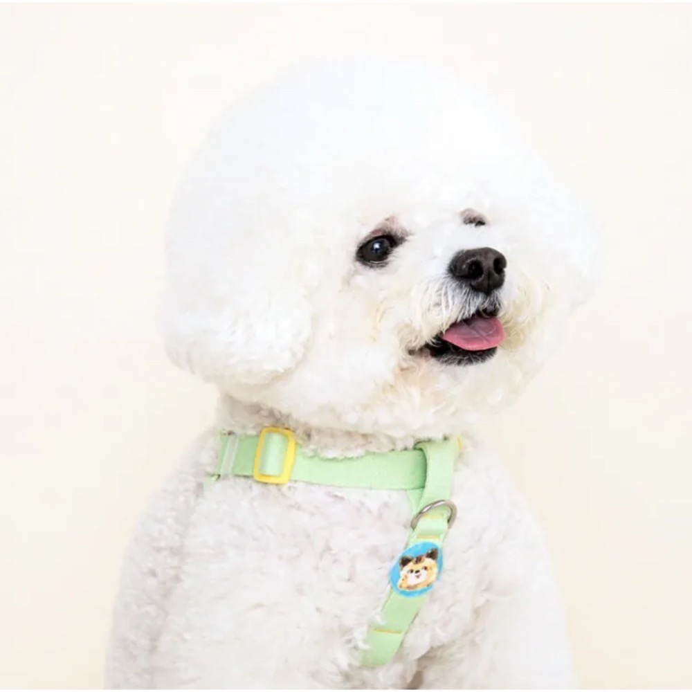 BITEME防蚊貼片(18入)｜組合優惠-細節圖2