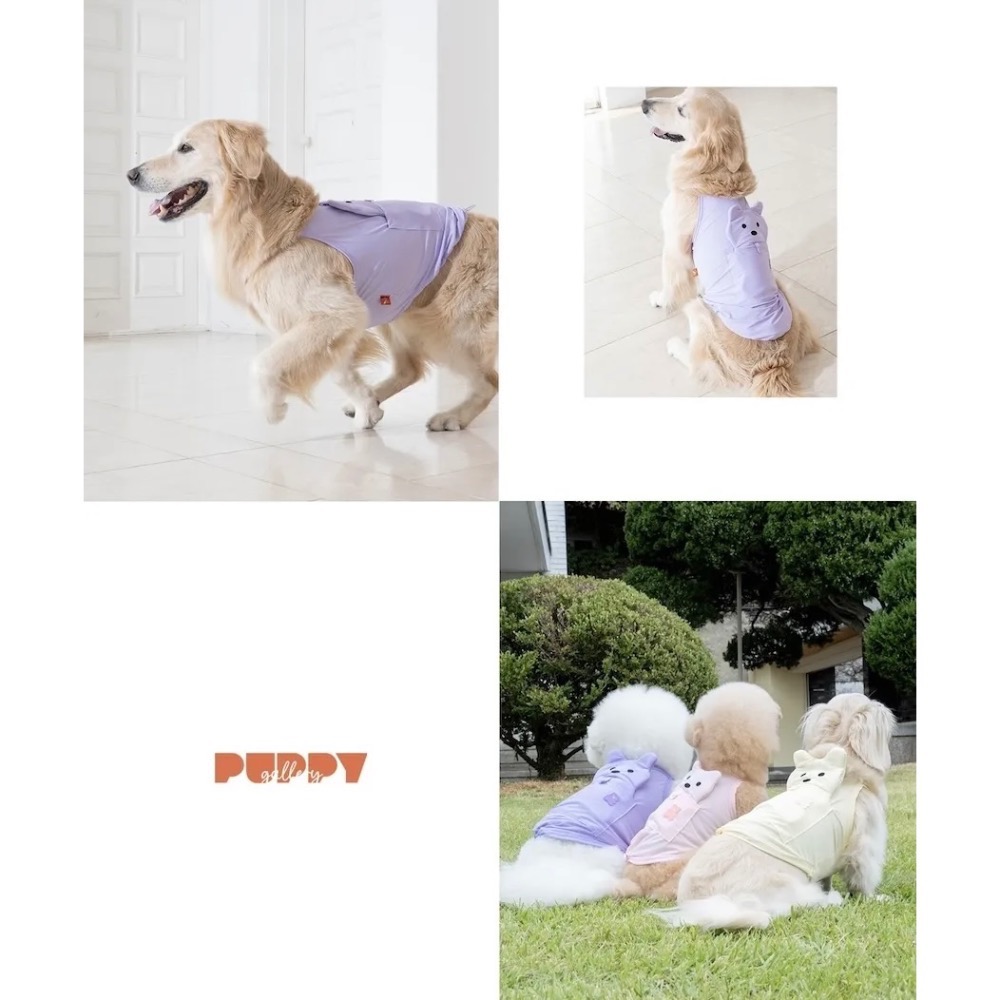 PG小熊涼感背心(含2枚保冰網墊)｜S-5XL-細節圖2