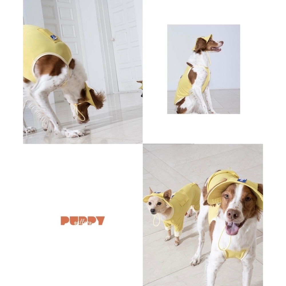 PG外出涼感背心(含2枚保冰網墊)｜S-5XL-細節圖2