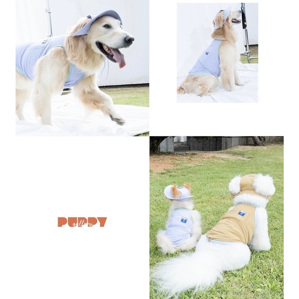 PG外出涼感背心(含2枚保冰網墊)｜S-5XL-細節圖3