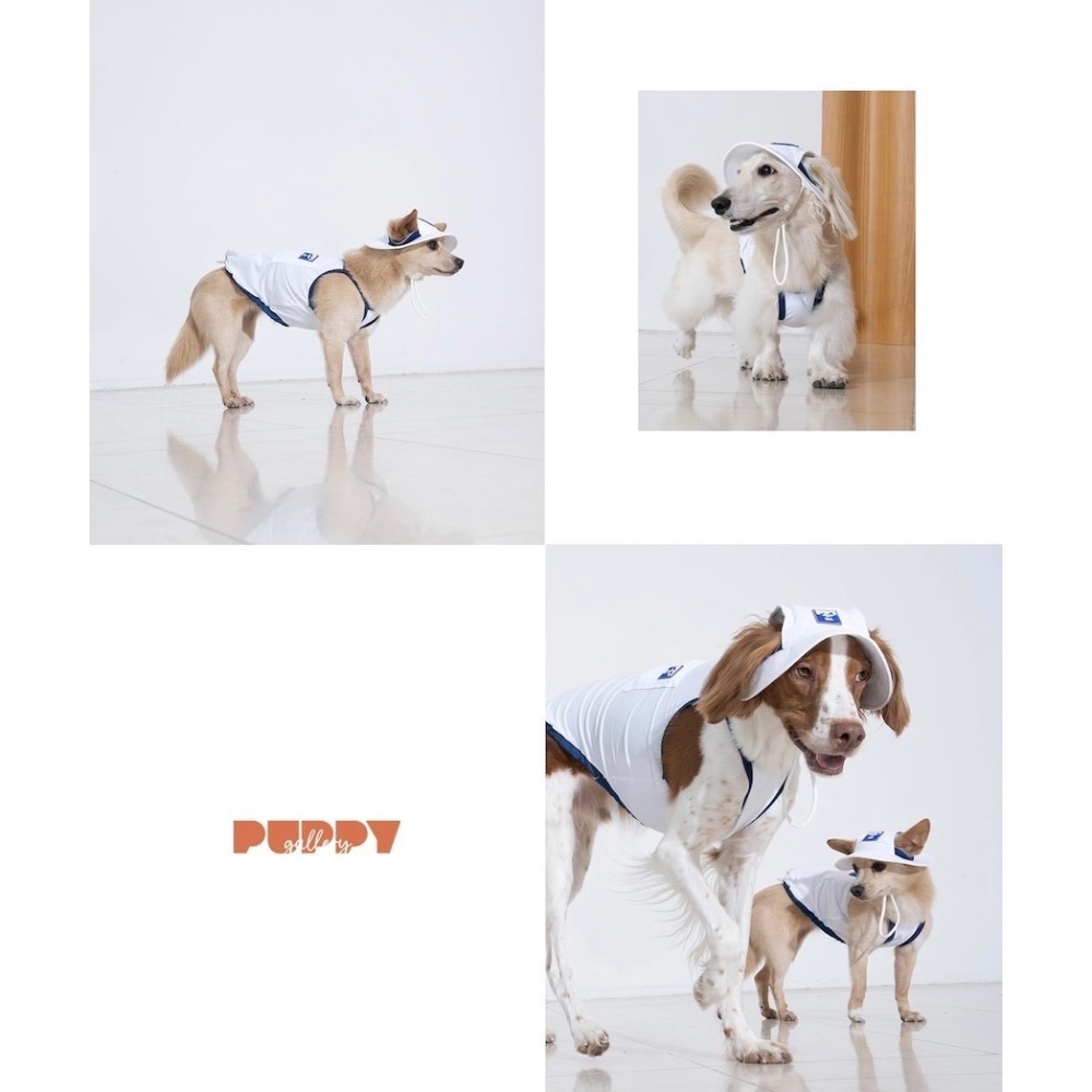 PG外出涼感背心(含2枚保冰網墊)｜S-5XL-細節圖5