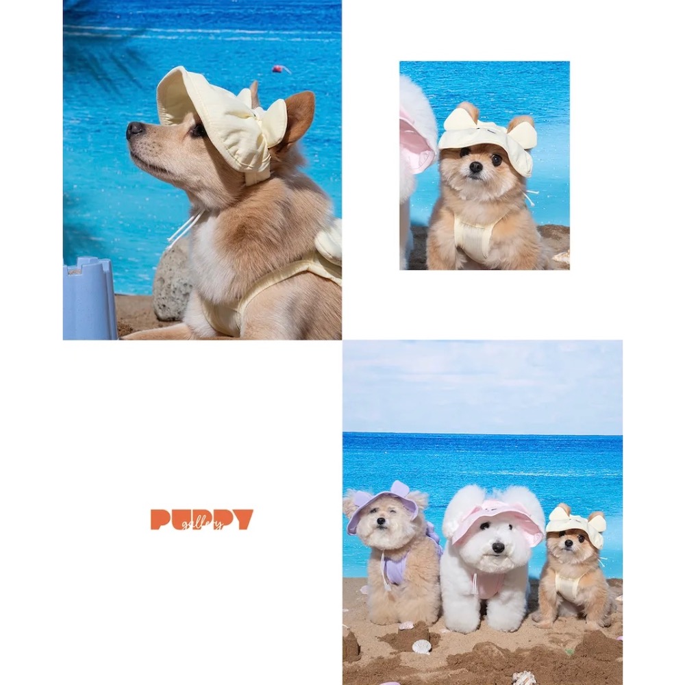 PG小熊涼感遮陽帽｜共3種顏色-細節圖5