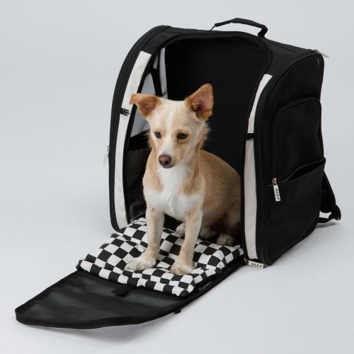 🇰🇷iLLO棋盤格後背包-細節圖2