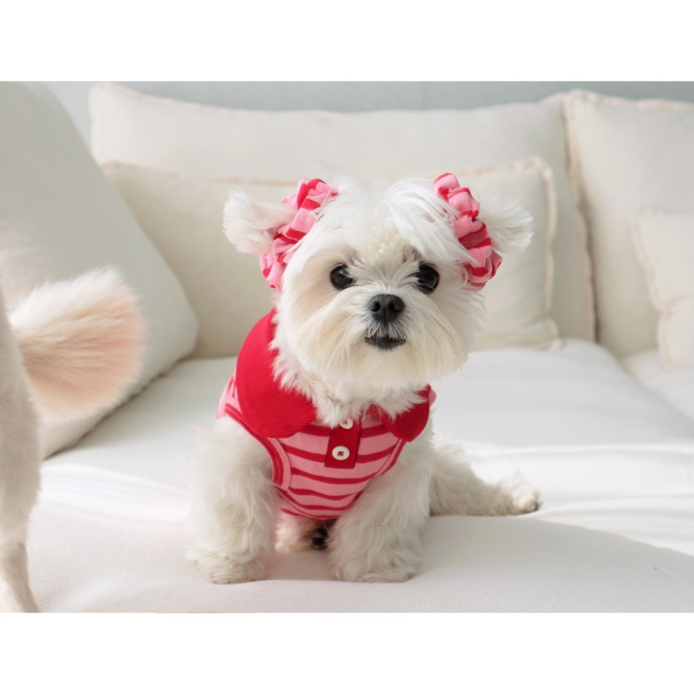 🇰🇷DR彈性條紋耳飾｜兩枚一組-細節圖5