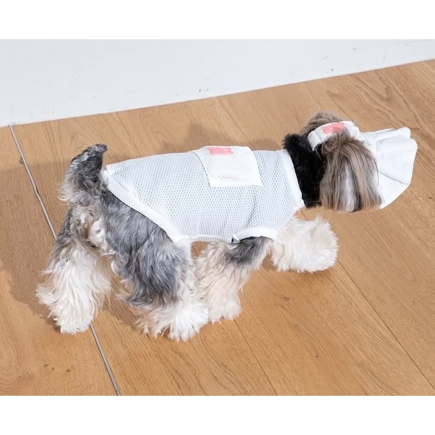 PG小熊軟糖涼感背心(含2枚保冰網墊)｜S-5XL-細節圖7