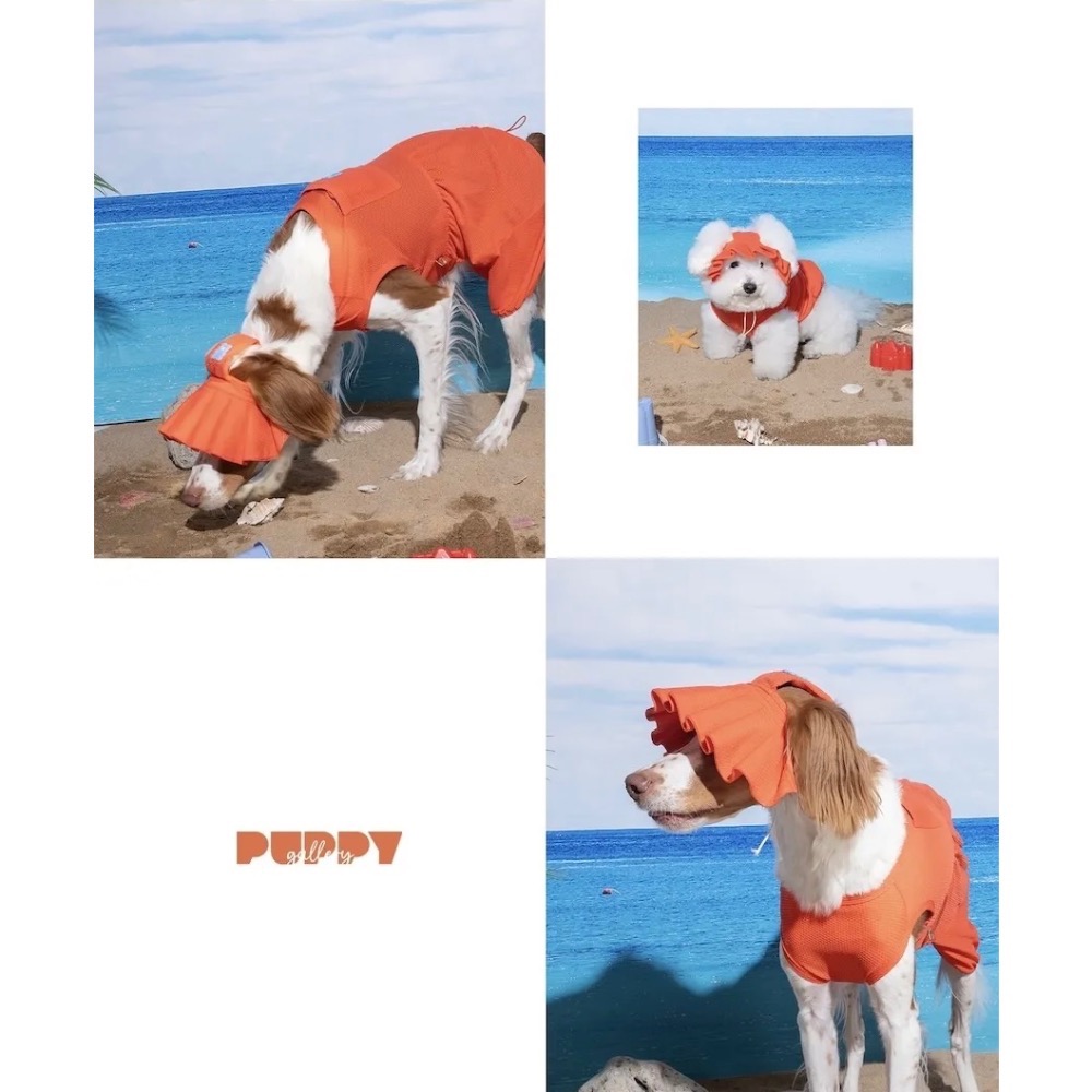 PG小熊軟糖涼感帽(贈2枚保冰網墊)｜S-2XL-細節圖6