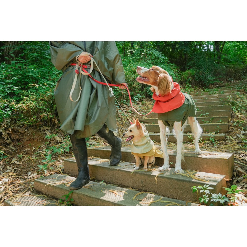 PG全天候防水雨衣｜M-5XL-細節圖3